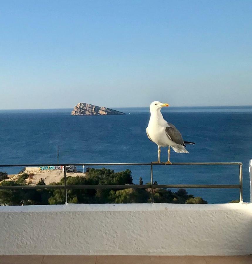 Duplex Villamarina بينايدورم المظهر الخارجي الصورة